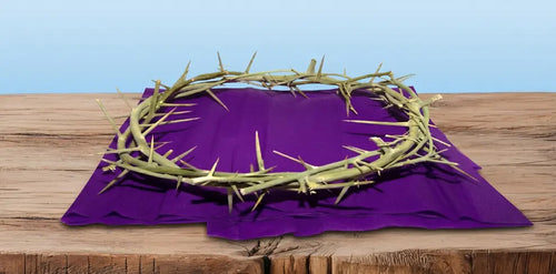 Everything you need to know about the Crown Of Thorns