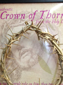 The Genuine and Authentic The Crown of Thorns (20.5x20.5cm OR 8x8") with Certificate