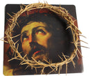 Holy Land Market Authentic Crown of Thorns from The Holy Land - in Gift Box (10-11 Inches)