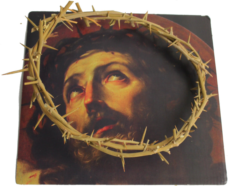 Crown of Thorns/Authentic Crown of Thorns from The Holy Land - in Gift Box