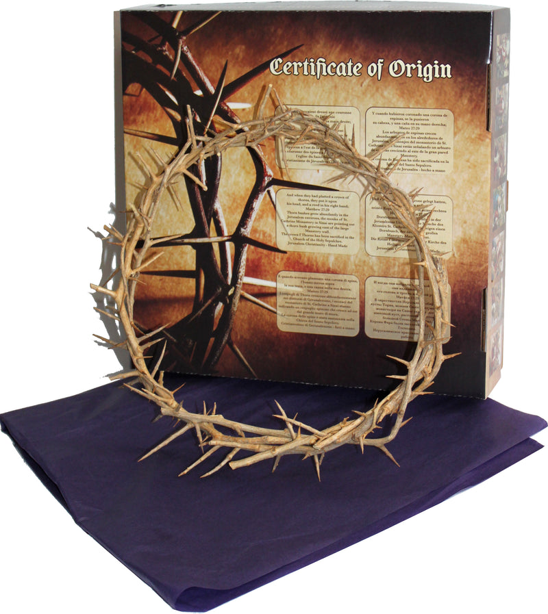 Crown of Thorns from the Holy Land with Certificate of Origin