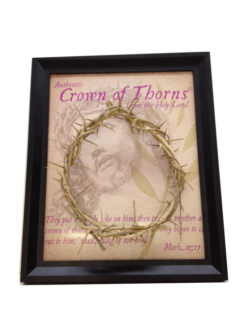 The Genuine and Authentic The Crown of Thorns (20.5x20.5cm OR 8x8") with Certificate