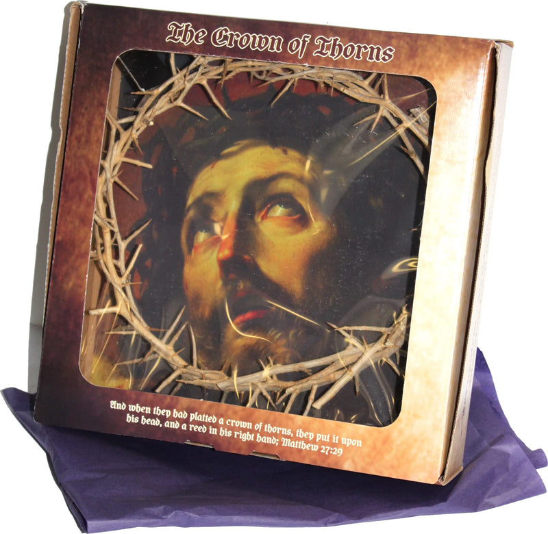 Holy Land Market Authentic Crown of Thorns from The Holy Land - in Gift Box (10-11 Inches)