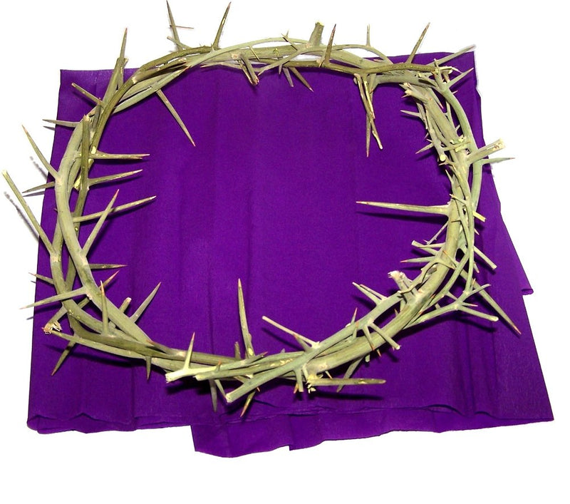 Crown of Thorns from the Holy Land with Certificate of Origin