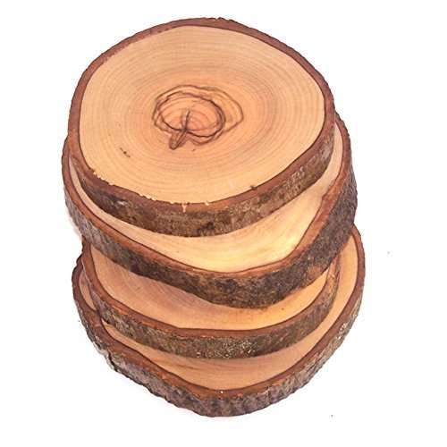 Juego de 4 posavasos naturales de madera de olivo tallados a mano de la Tierra Santa (aproximadamente 3.5 pulgadas cada uno) - Marca registrada Asfour Outlet