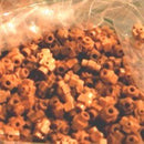 12x8x8 mm Jerusalem Cross Bethlehem Olive wood (500 beads)