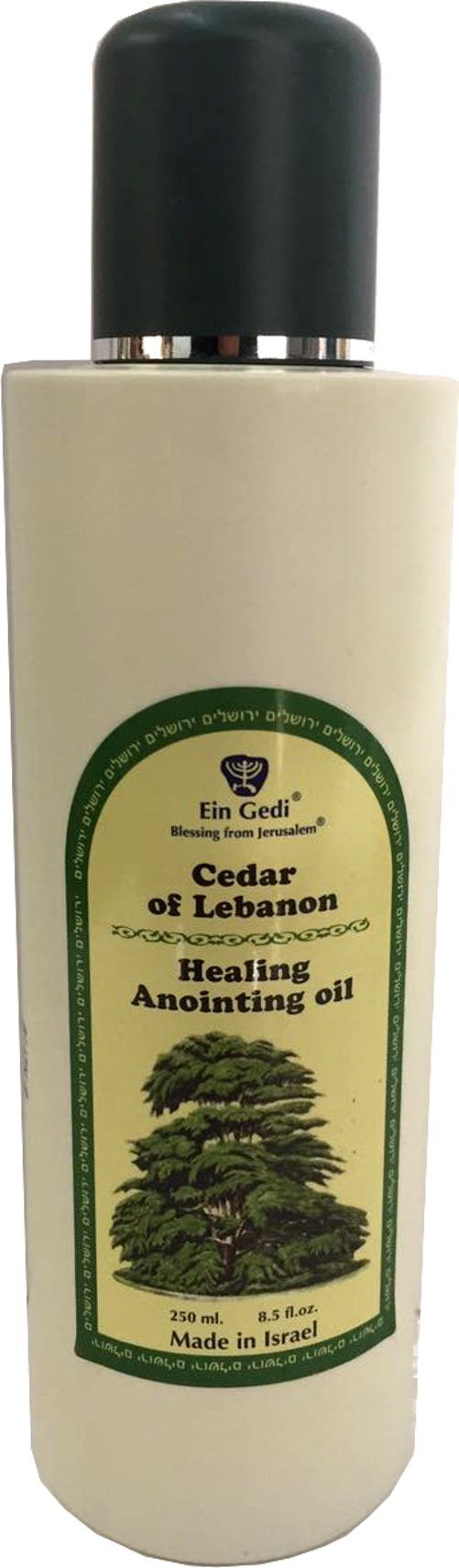 Holy Land Market Cedar Lebanon anointing Oil from Ein Gedi large size - Anointing oil - 250 ml (8.5 fl. oz.)
