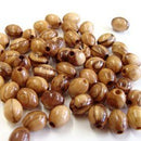 Holy Land Market 9x7mm Rosary Beads (60 Beads) - Bethlehem Oval Olive Wood