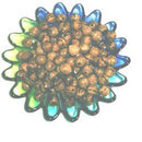 12mm Rosary carved Beads (500 beads) - Bethlehem Olive wood