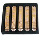 A Set of 5 Silver and Gold plated Mezuzahs with different enameled themes. Each is about 3.5 Inches and comes with The priestly breastplate