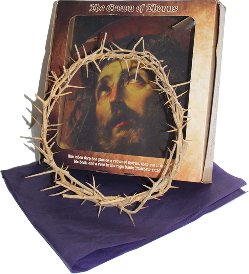 Mercado de Tierra Santa Corona de Espinas Auténtica de La Tierra Santa - en Caja de Regalo (10-11 Pulgadas)